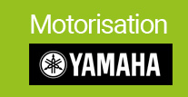 Vlo lectrique moteur Yamaha